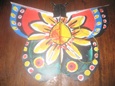 Plano barrilete mariposa