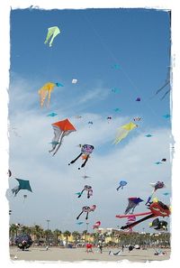 Festival de Valencia