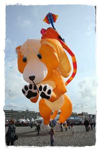Barrilete de francia