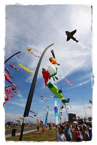 Bristol Kite Festival