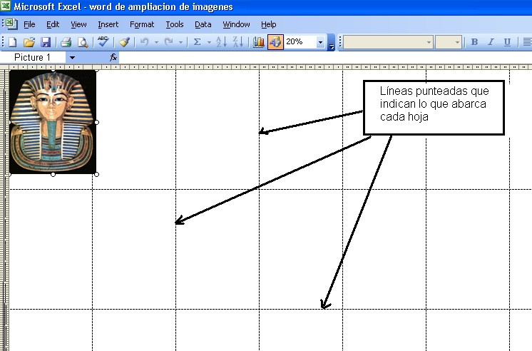 Amplia04