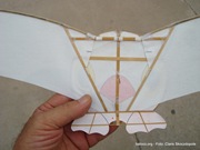estructura gaviota