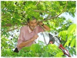 Rescate Arboreo III