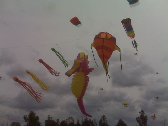 IMG00046.jpg IMG00046.jpg