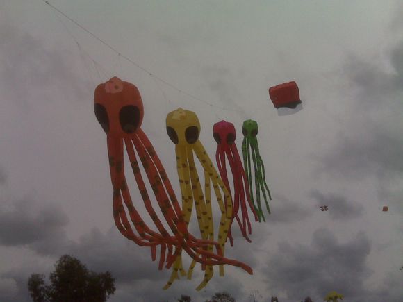 IMG00047.jpg IMG00047.jpg