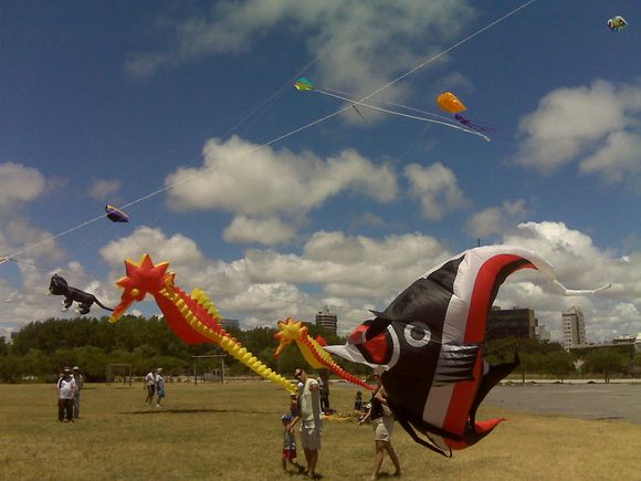 IMG00052.jpg