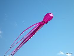 Super Pulpo