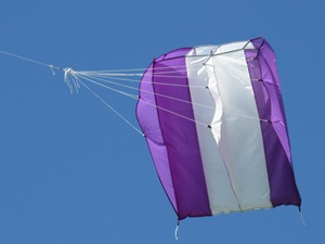 Barrilete Pilot