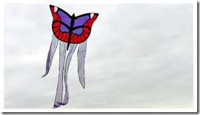 Barrilete Mariposa de Diana