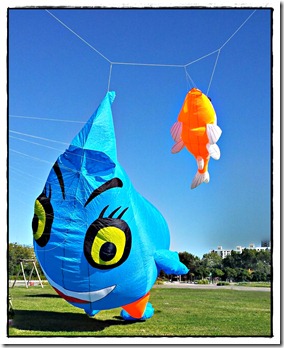 Pez y Gota
