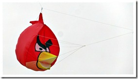 Angry Bird de Matías