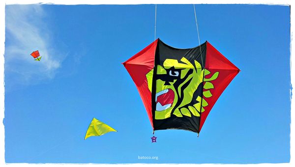 Barrilete Fled Bandera de Sandokan