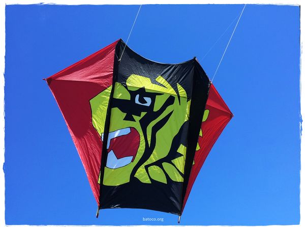 Barrilete Fled Bandera de Sandokan
