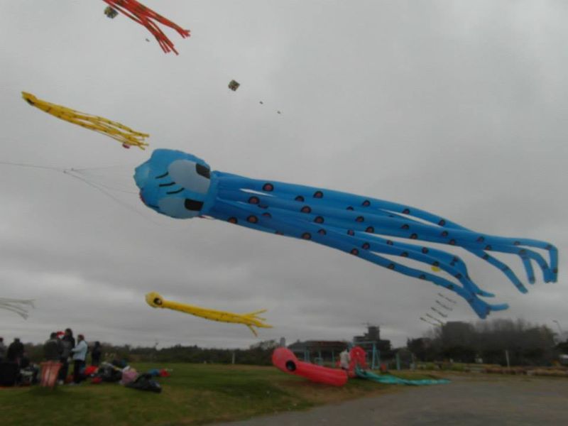 Pulpo-5