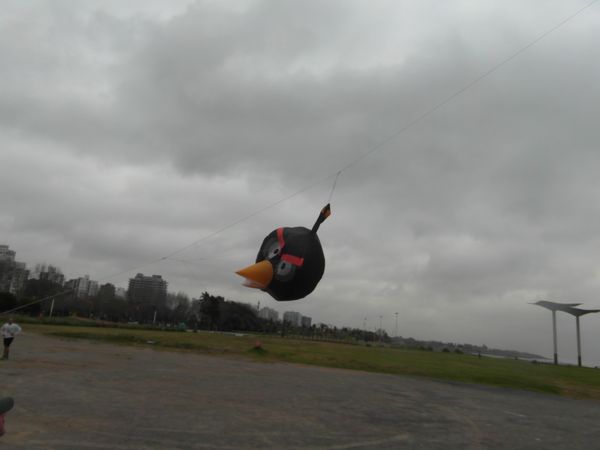 El barrilete inflable originado del personaje del video juego Angry Bird
