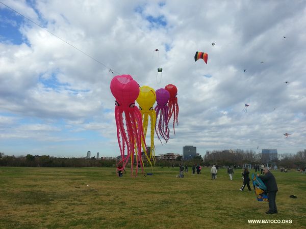 4_pulpos_panoramica