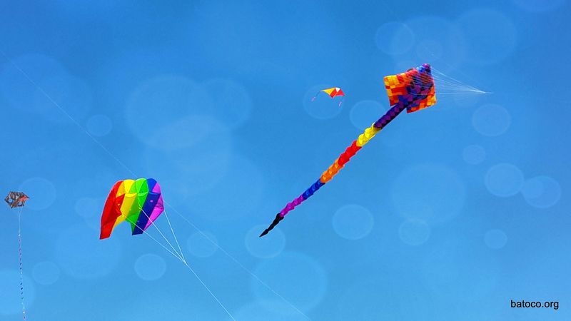 3-20131117_115512