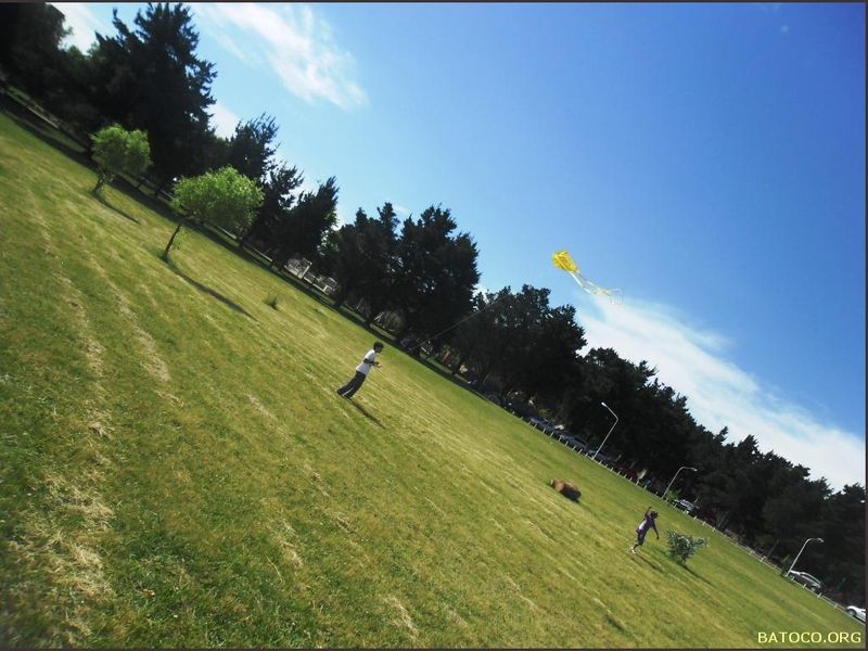 Vuelo_1