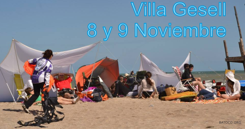 Desorganizada2014_titulo
