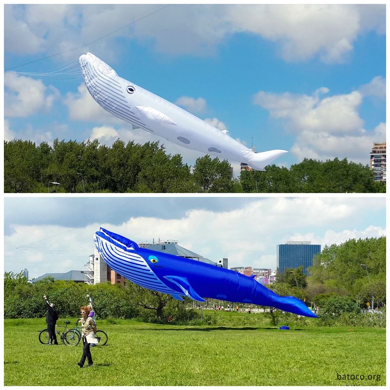 BaToCo OSOW 2014 01