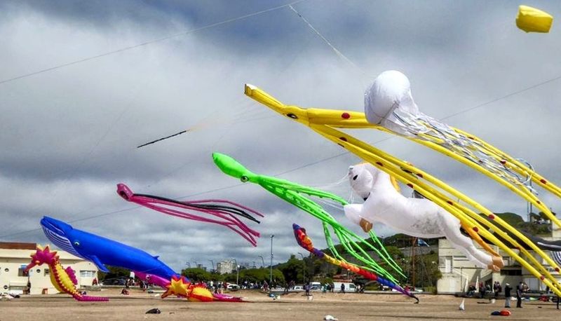 Barriletes MDQ 011