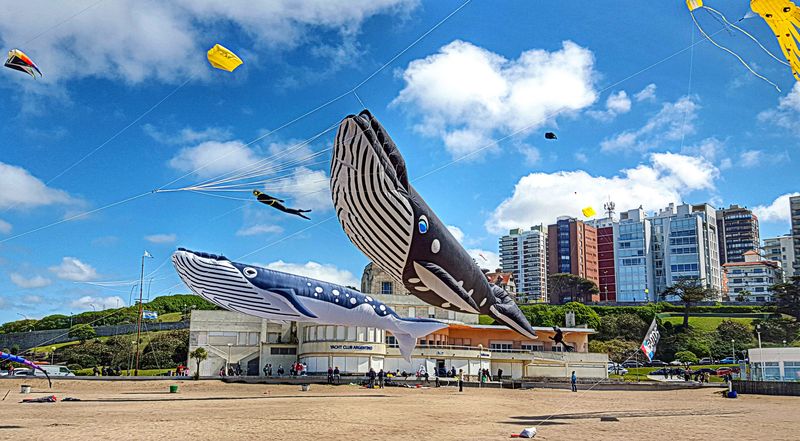 Barriletes MDQ 010
