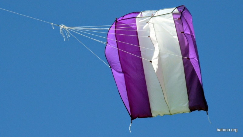 Barrilete Piloto