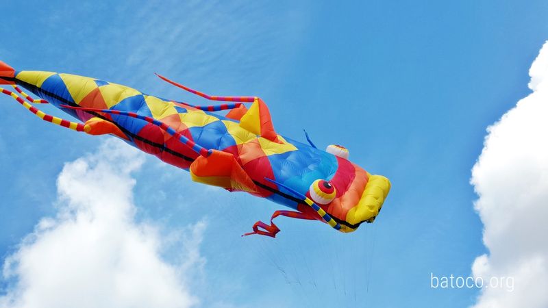 Barrilete Surubi16