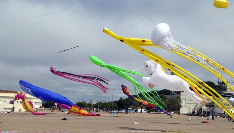 Barriletes MDQ 004