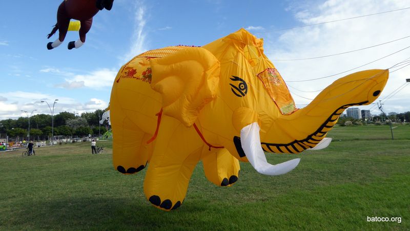 Barrilete elefante tuned