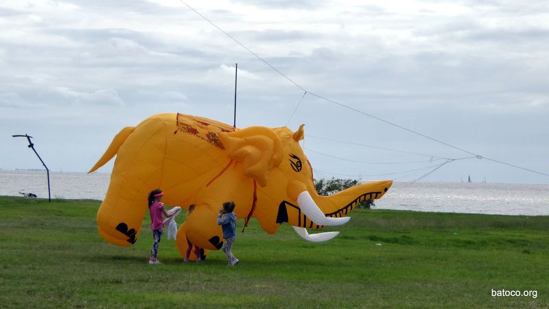 Barrilete elefante ninios
