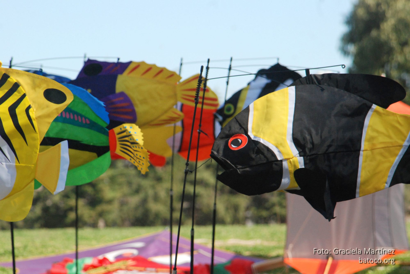 Festival Barriletes Rosario 2018 18