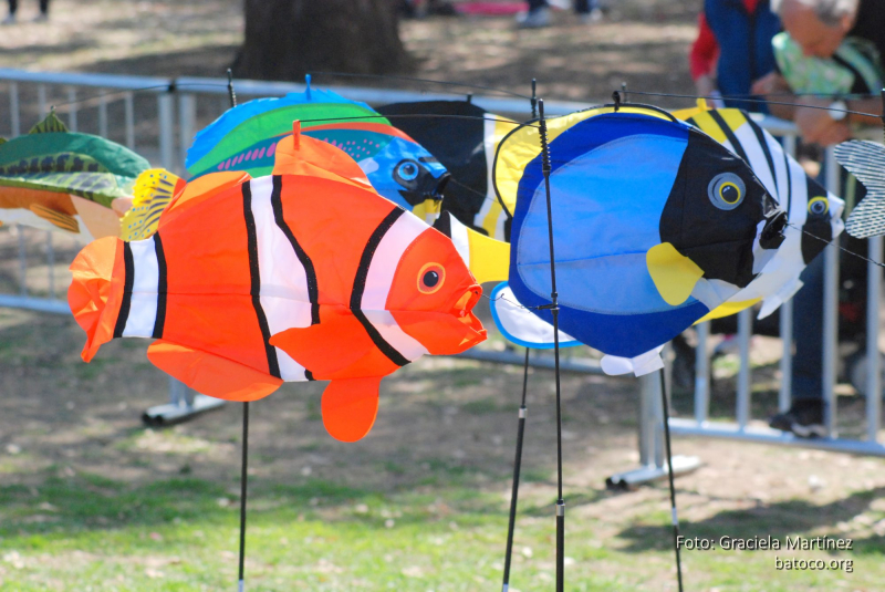 Festival Barriletes Rosario 2018 10