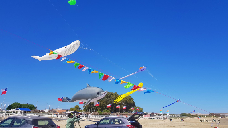Festival Viento Tongoy 01