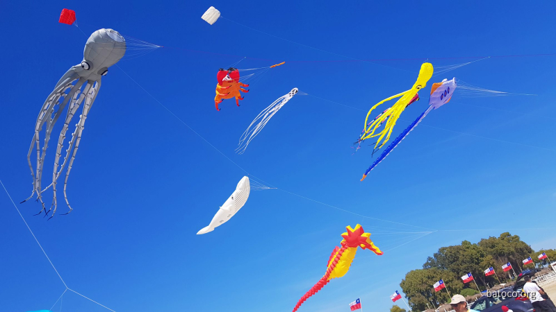 Festival Viento Tongoy 10