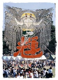 Big kite