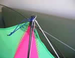 synergydeca_clip_image004.jpg
