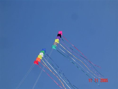 10adesorg008