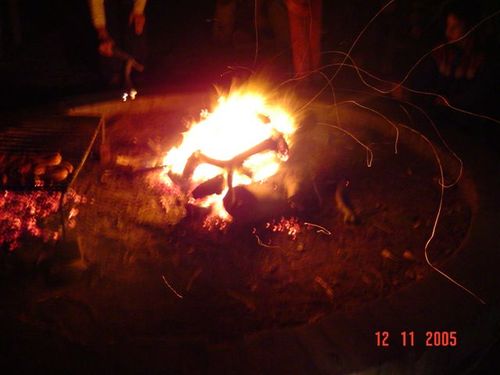 10adesorg031