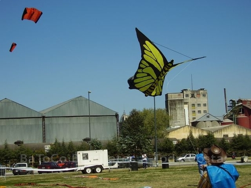 Festivalrosario10