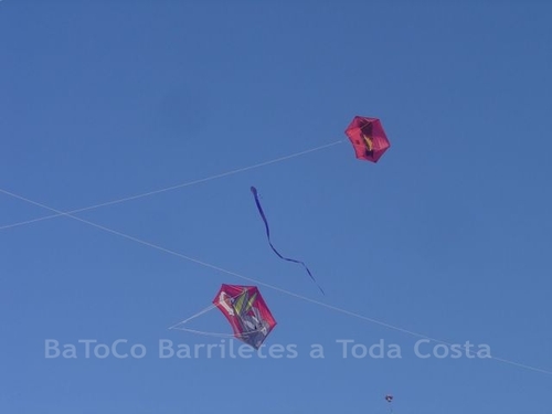 Festivalrosario102