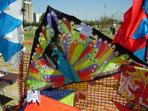 Festivalrosario12