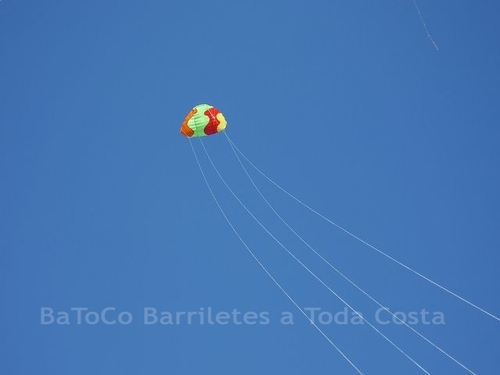 Festivalrosario13
