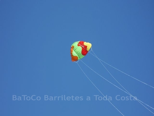 Festivalrosario14