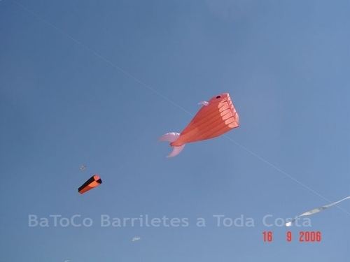 Festivalrosario17