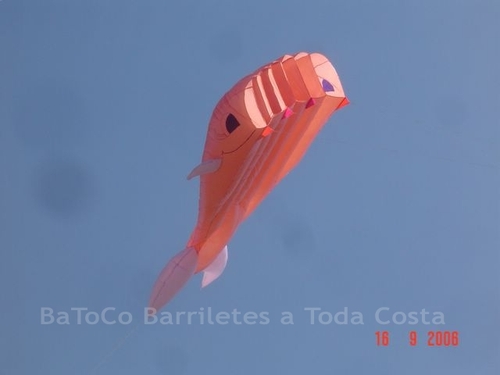Festivalrosario18