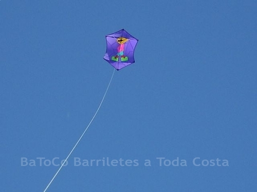 Festivalrosario2