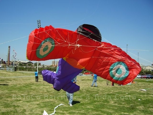 Festivalrosario20