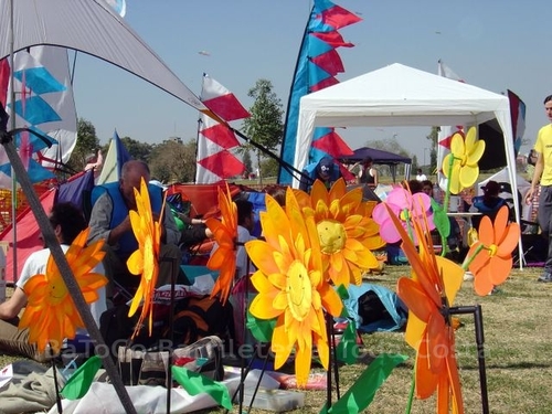 Festivalrosario21