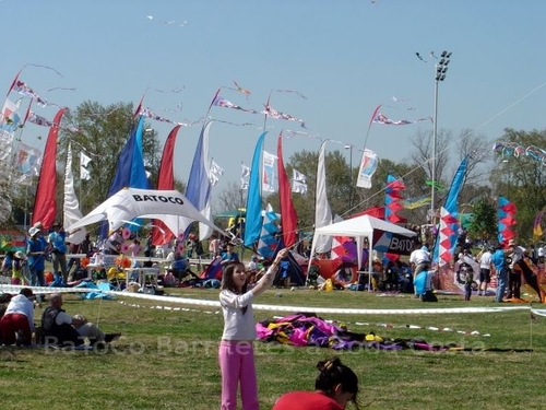Festivalrosario24